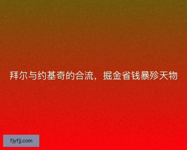 拜尔与约基奇的合流，掘金省钱暴殄天物